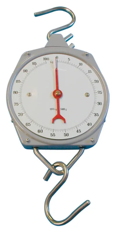 Saisonangebot Waage - Zeigerschnellwaage 100 kg