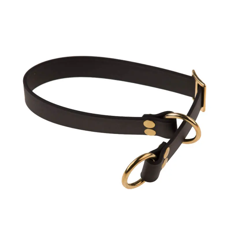 Zertifiziert Rüdemeister - Zug-Stopp Halsband Premium BioThane 25 mm