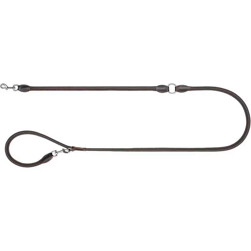 Blaser Hundeleine Leder Highlight