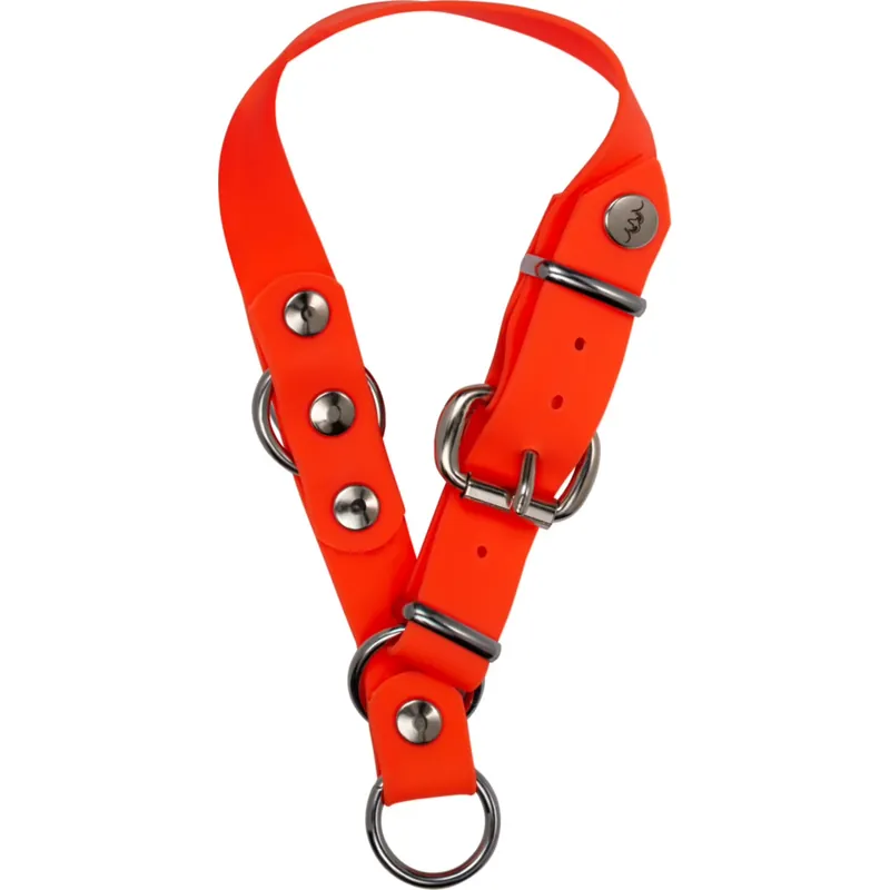 Blaser Hundehalsung Professional Nur Für Kurze Zeit