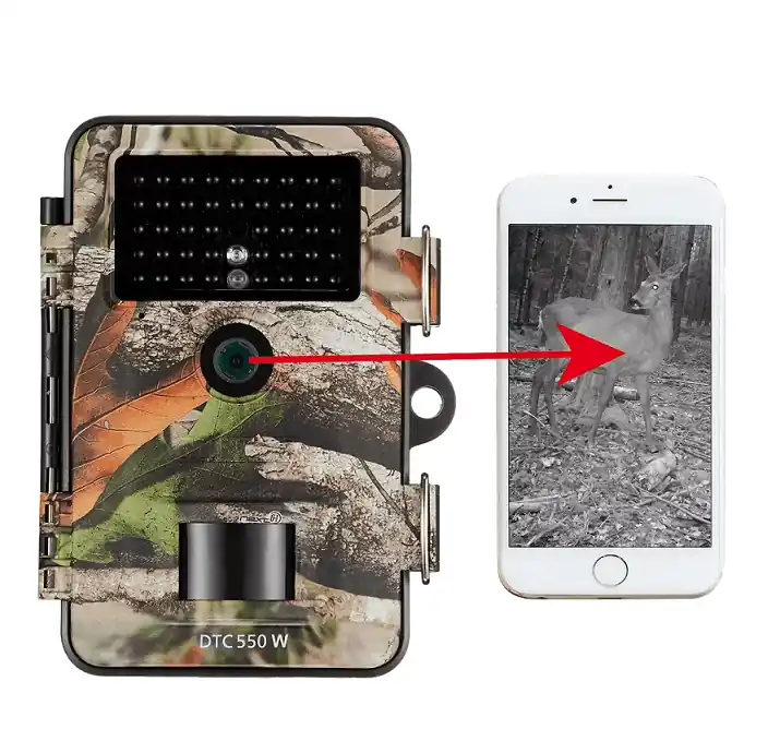 Angebot Minox DTC 550 WiFi Camo Wildkamera