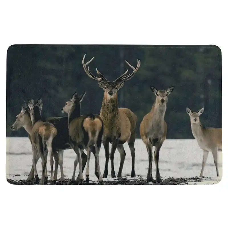 LivingActive Fußmatte Schnee Herde Hirsch 75x50 cm Preisreduziert