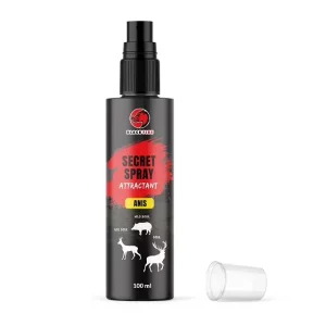 Black Fire Secret Spray Anis Finale Aktion