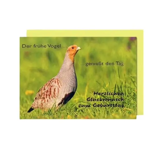 MICHEL-VERLAG Geburtstagsgrußkarte mit Jagdmotiv Begrenztes Angebot