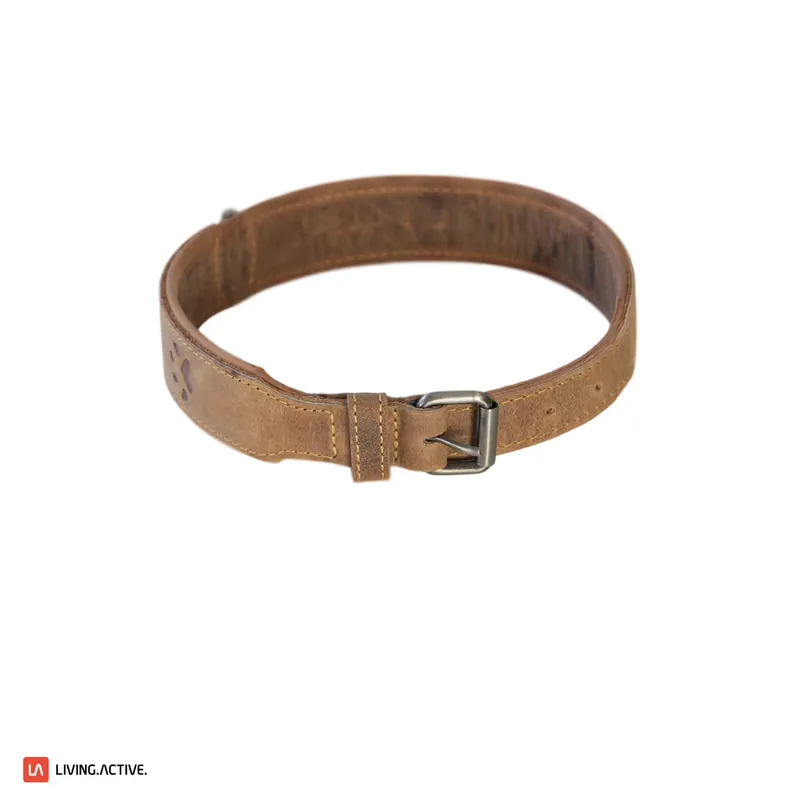Preisknaller Greenburry Vintage Hundehalsband