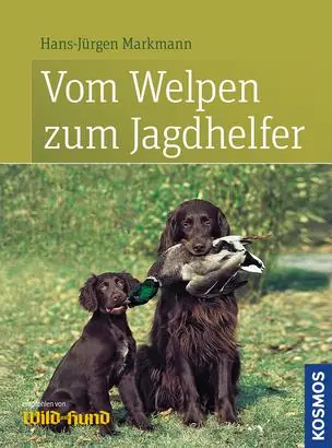 Vom Welpen zum Jagdhelfer Nur Für Kurze Zeit