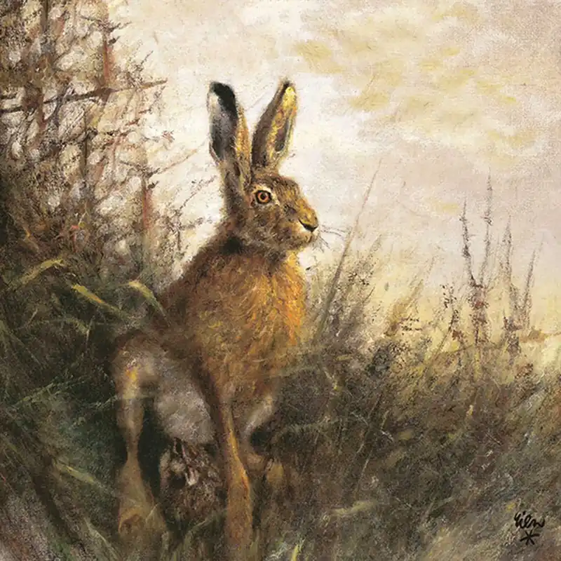 Rabatt AKAH Jagdservietten Hase