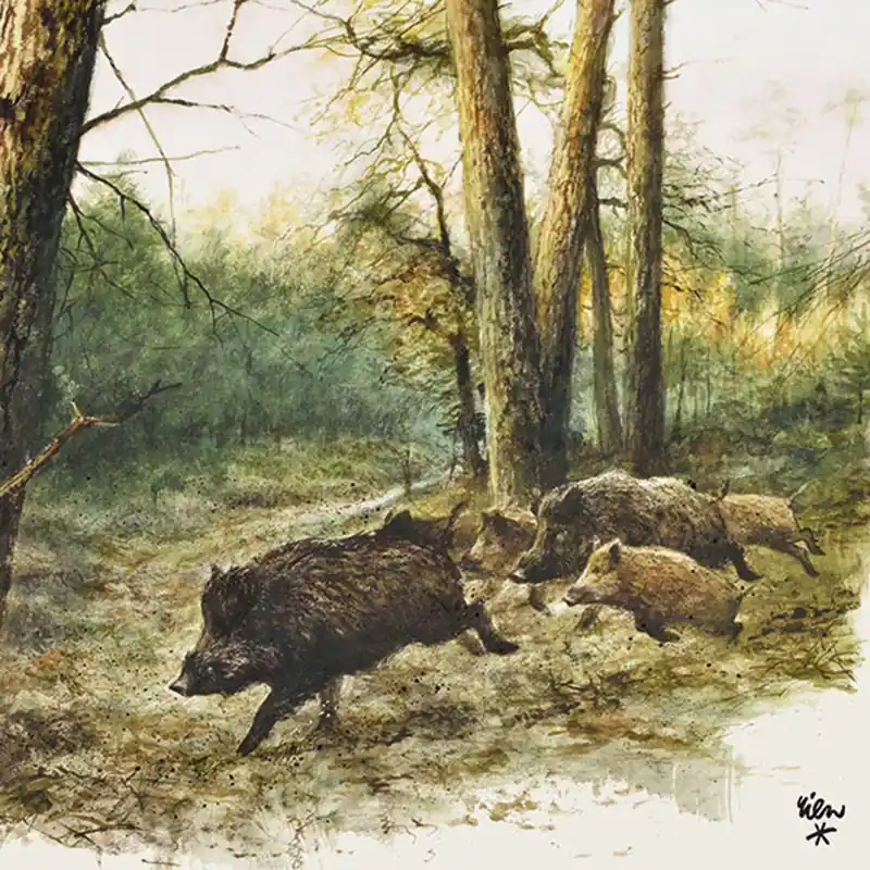 Neu Im Sortiment AKAH Jagdservietten Sauen
