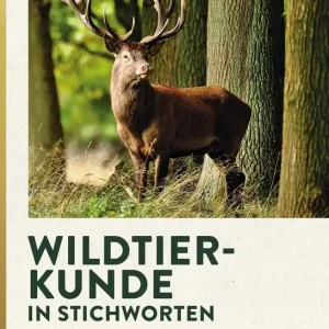 Neu Wildtierkunde in Stichworten - Lernhilfe für die Jägerprüfung