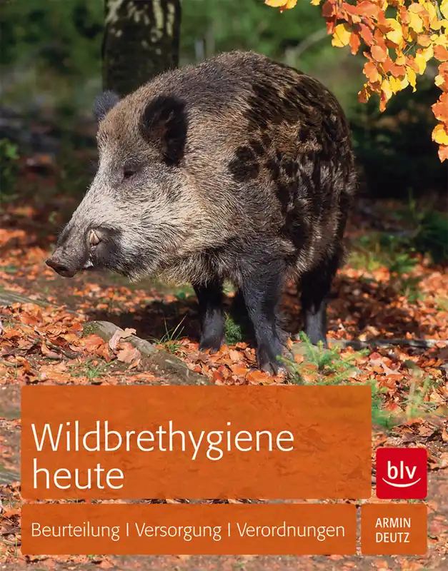 Markenprodukt Wildbrethygenie heute - Beurteilung Versorgung Verordnungen