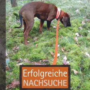 Solange Der Vorrat Reicht Erfolgreiche Nachsuche