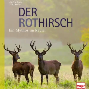 Der Rothirsch Ein Mythos im Revier Schnäppchen