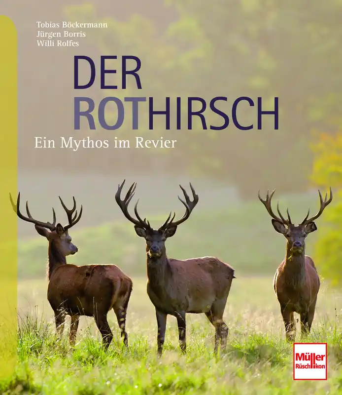 Der Rothirsch Ein Mythos im Revier Schnäppchen