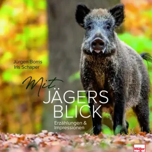 Mit Jägers Blick Erzählungen und Impressionen Neue Kollektion