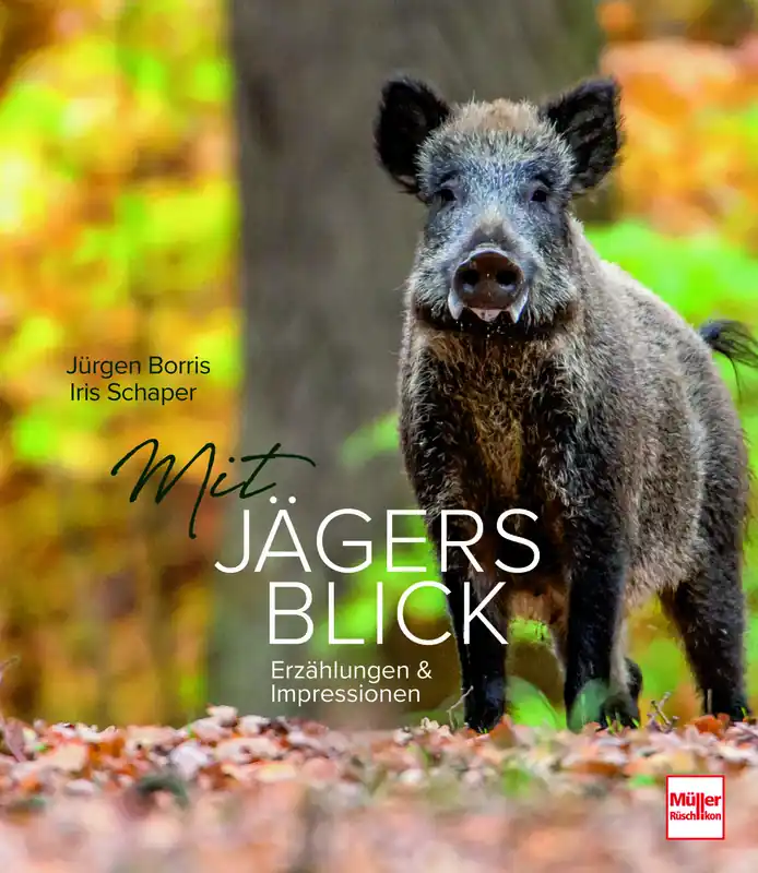 Mit Jägers Blick Erzählungen und Impressionen Neue Kollektion