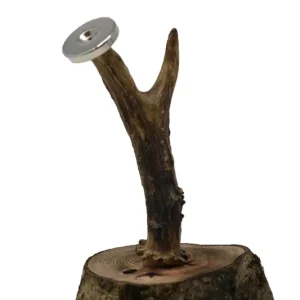 JägerBaum Nur Heute