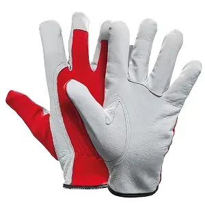 Jetzt Bestellen PFANNER® Ziegenleder Allround Handschuhe