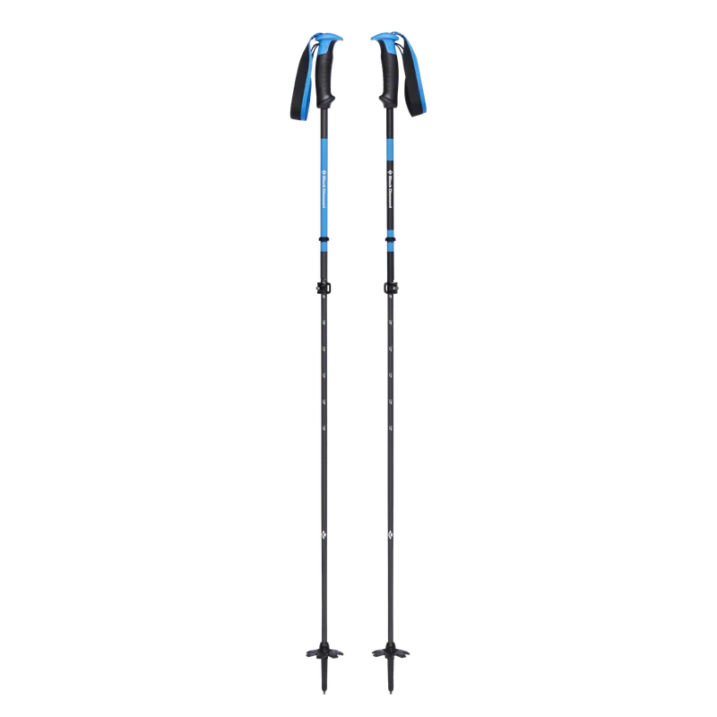 RAZOR CARBON PRO SKI POLES Top-Preis