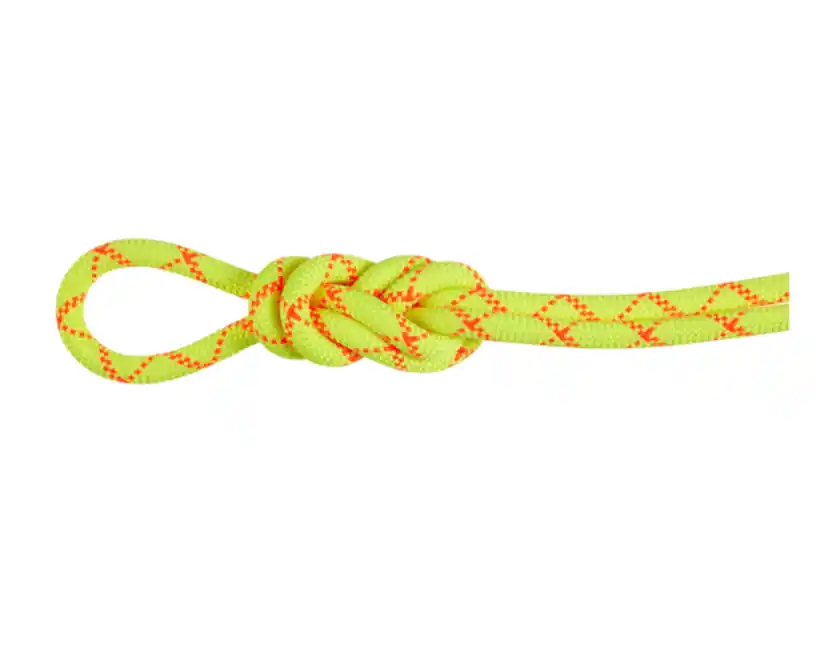9.5 Alpine Core Protect Dry Rope Must-Have
