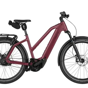 Meistverkauft Charger5 Mixte vario