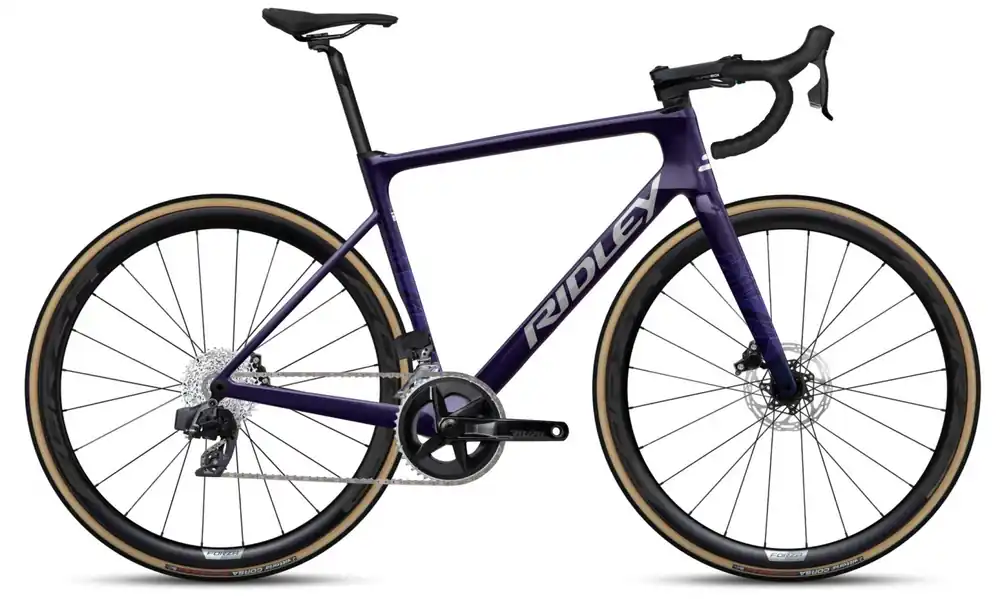 Top-Preis Falcn Rival AXS