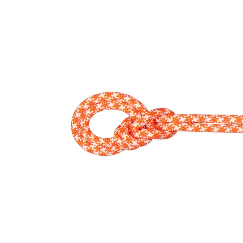 Sonderaktion 9.5 Crag Classic Rope 60m