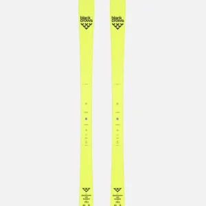 ORB FREEBIRD Super-Preis
