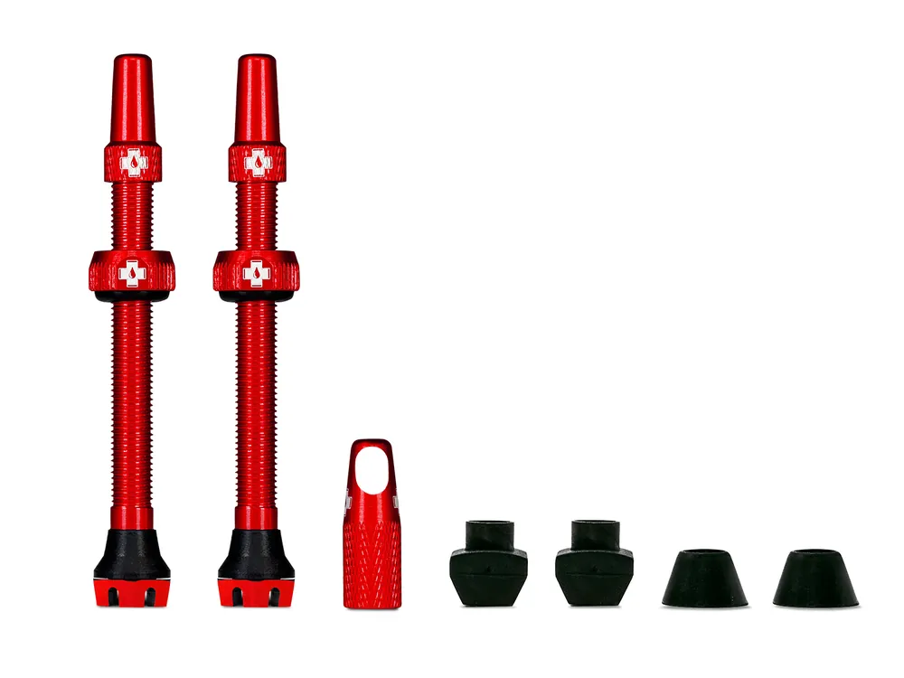 Preisknaller Tubeless Valve Kit V2 Universal for MTB & Road