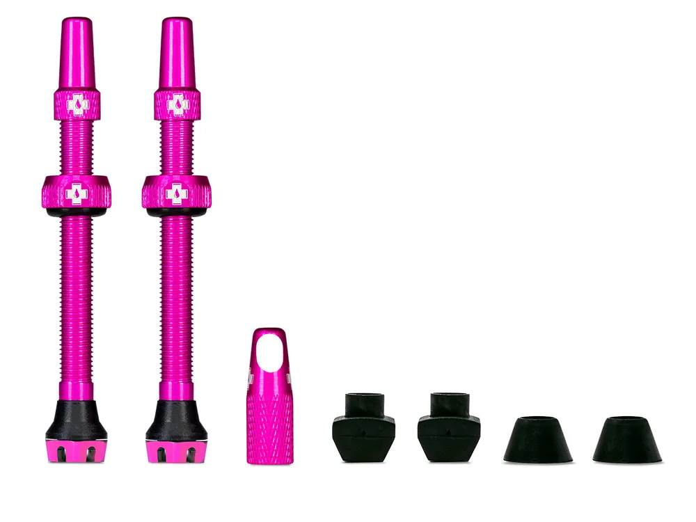 Tubeless Valve Kit V2 Universal for MTB & Road Top-Preis