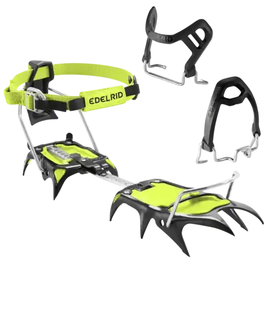 Shark II Sonderangebot