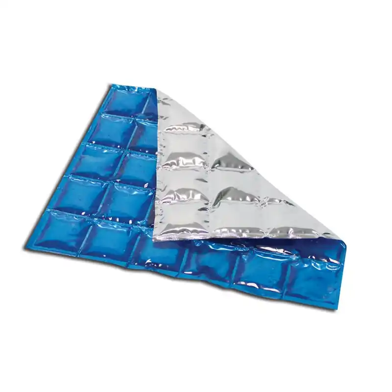 Pack de glace réutilisable Begrenztes Angebot