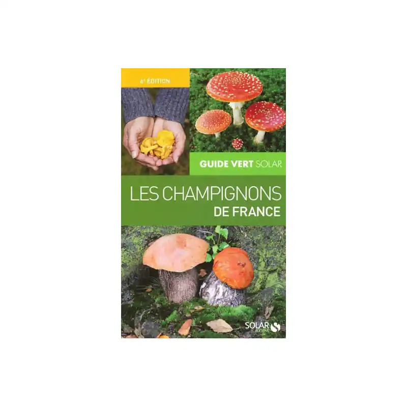 Pilze aus Frankreich Neuheit