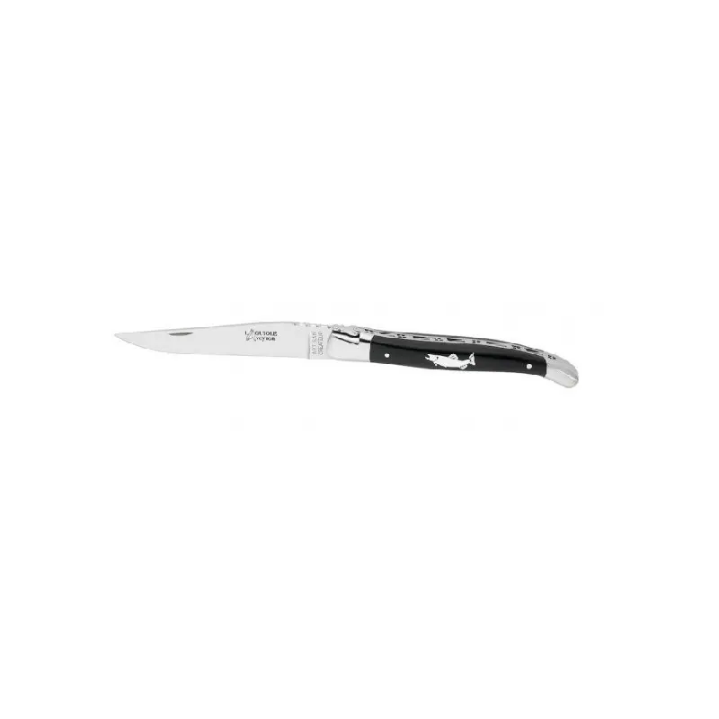 Mega-Angebot Laguiole Aveyron Truite