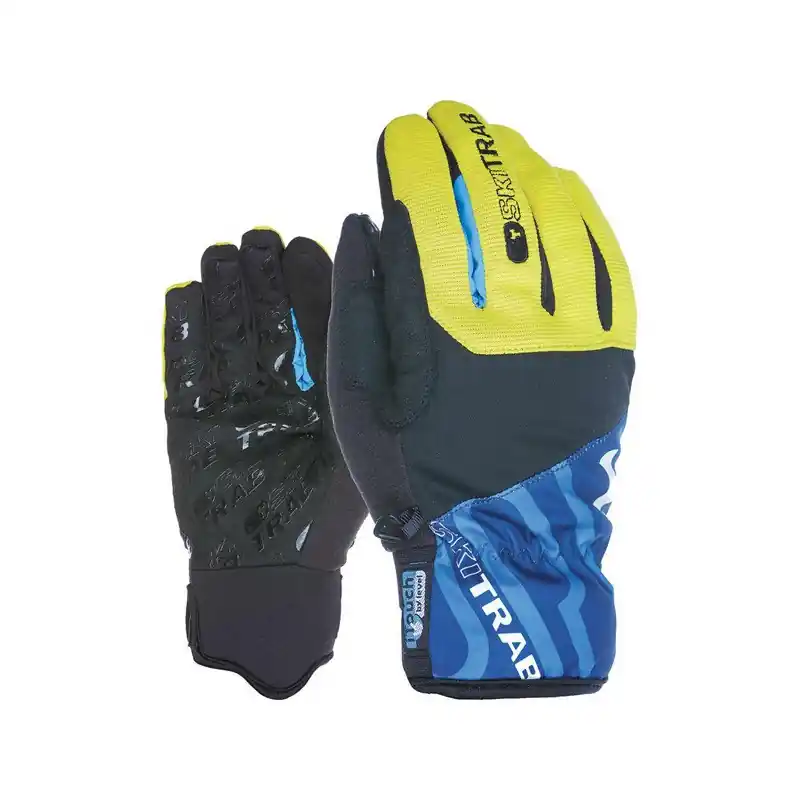 Gants de ski Evo 2.0 Preisknaller