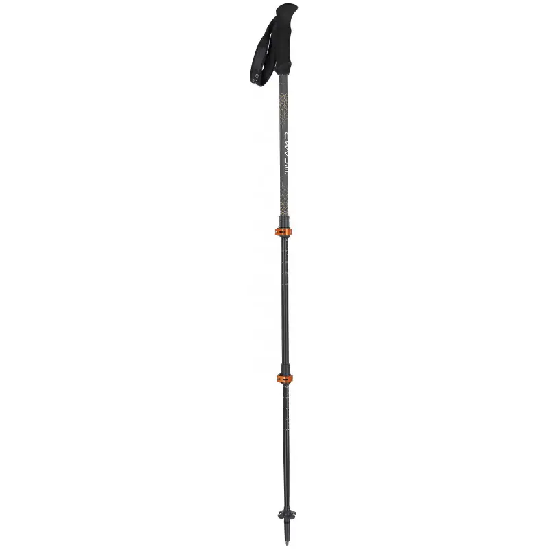 Bâtons Backcountry Pro Günstig