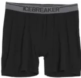 Ausverkauf Icebreaker Herren Anatomica Boxers
