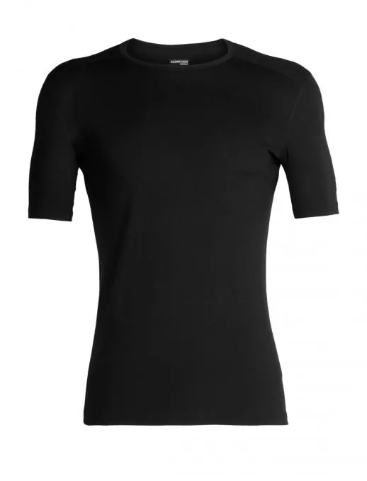 Icebreaker Herren 200 Oasis Rundhals Shirt Beliebt
