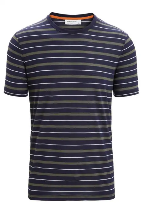 Sofort Bestellen Icebreaker Herren Wave Stripe T-Shirt