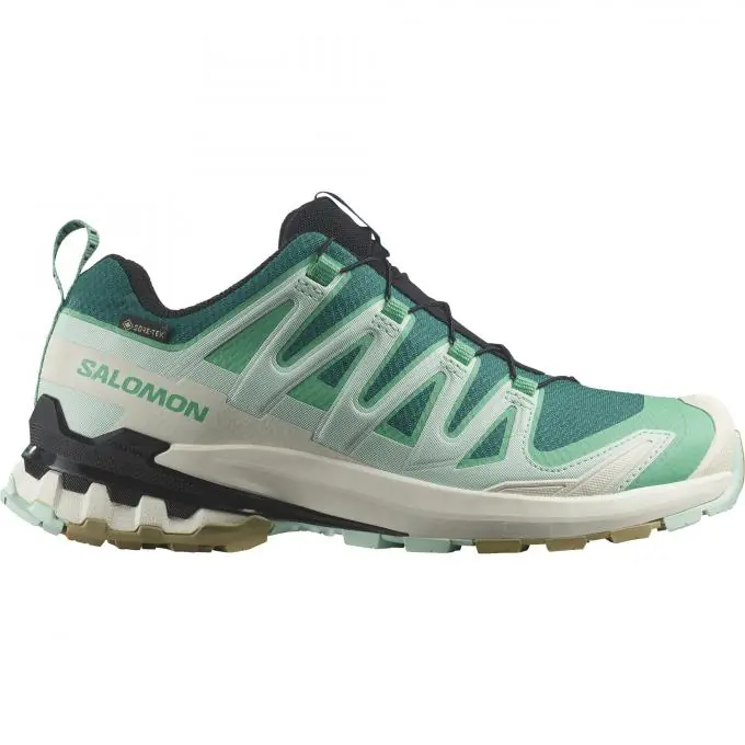 Salomon Damen XA PRO 3D V9 GTX Trailrunningschuh Begrenztes Angebot