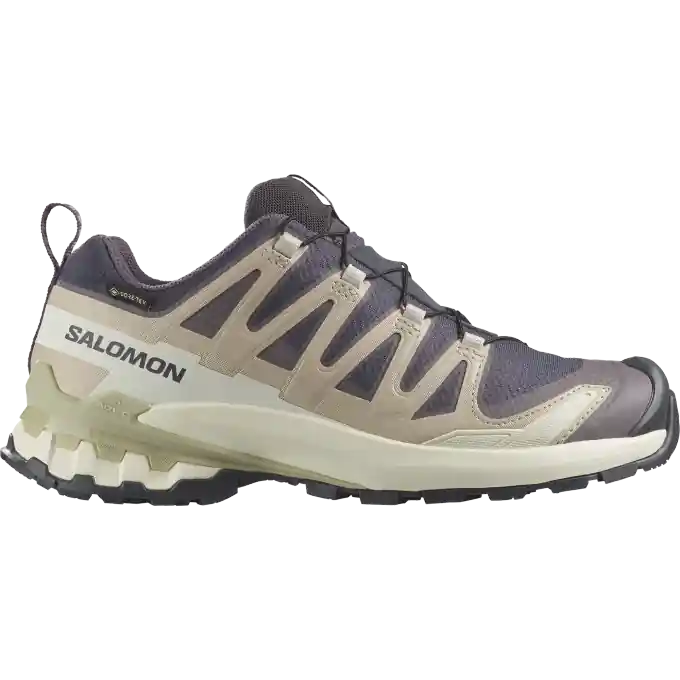 Neuheit Salomon Damen XA PRO 3D V9 GTX Trailrunningschuh