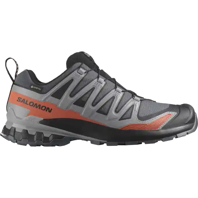 Salomon Herren XA PRO 3D V9 GTX Trailrunningschuh Zertifiziert