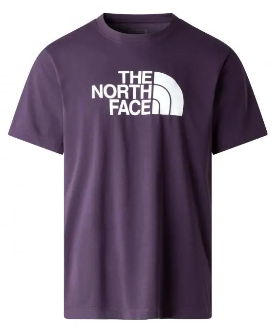 The North Face Herren Evolution Half Dome T-Shirt Billig
