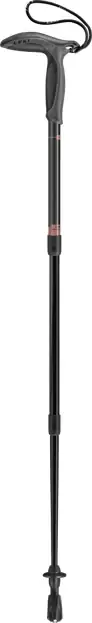 Super Micro Top-Preis