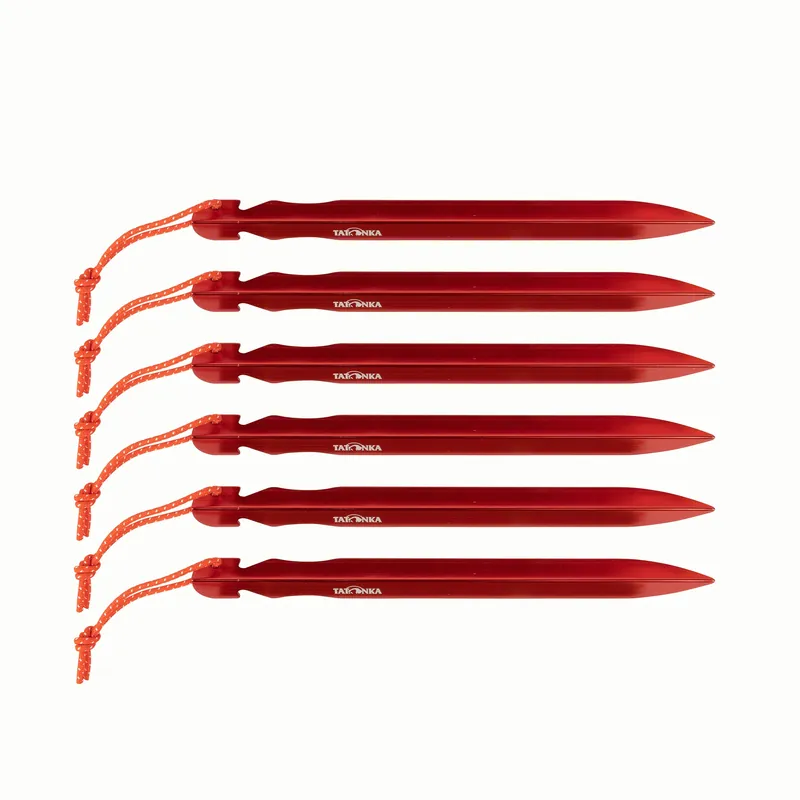 Finale Aktion ZH tent peg light 17cm 6pcs