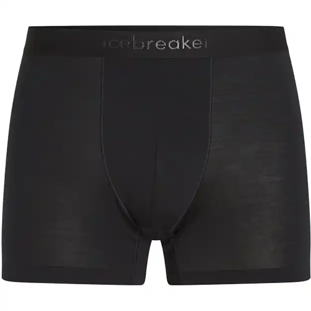 Icebreaker Anatomica Funktionsshorts Black Herren Aktuell