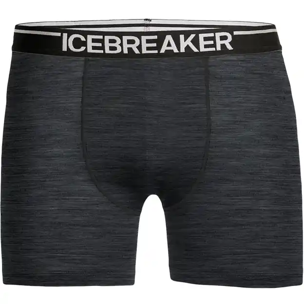 Icebreaker Anatomica Funktionsshorts Jet Heather Herren Markenware