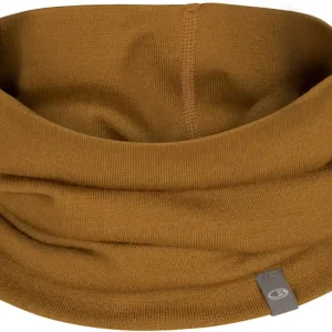 Icebreaker Unisex Apex Chute - clove Top-Angebot