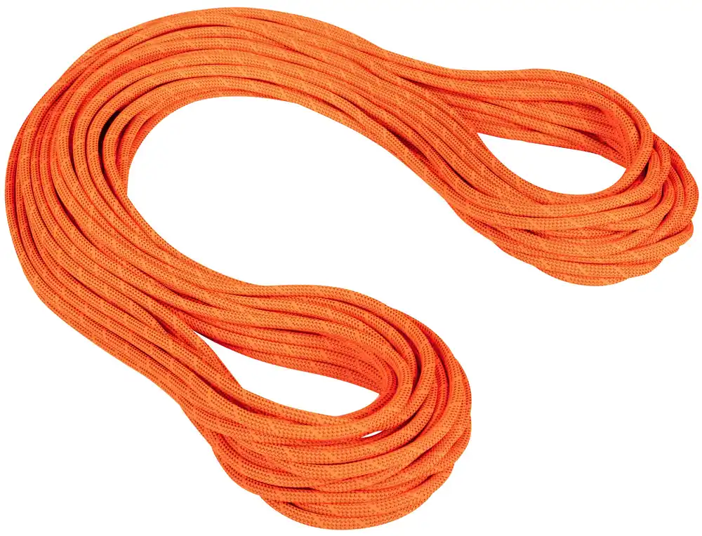 Abverkauf Mammut 9.8 Crag Dry Rope