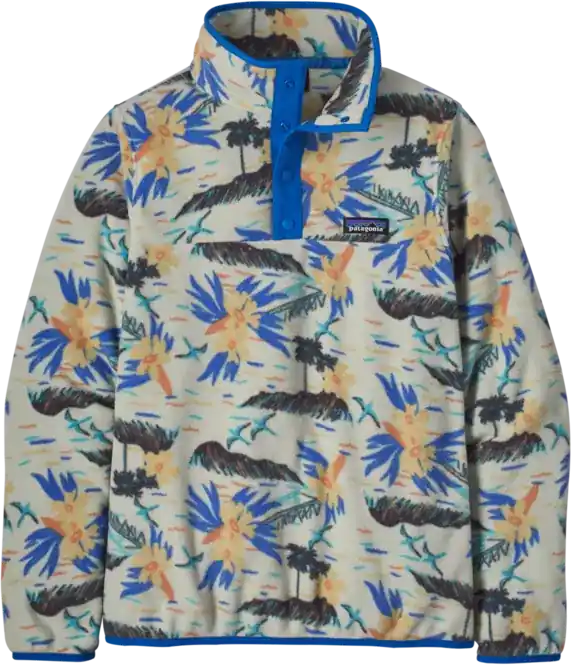 Patagonia Womens Micro D Snap-T Fleece Pullover Sale