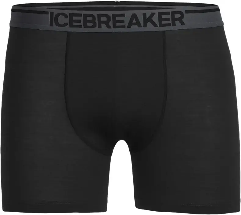Icebreaker Anatomica Boxers Men Echt